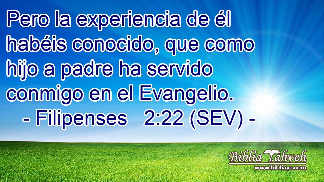 Pero la experiencia de él habéis conocido, que como hijo a padre ha servido conmigo en el Evangelio.