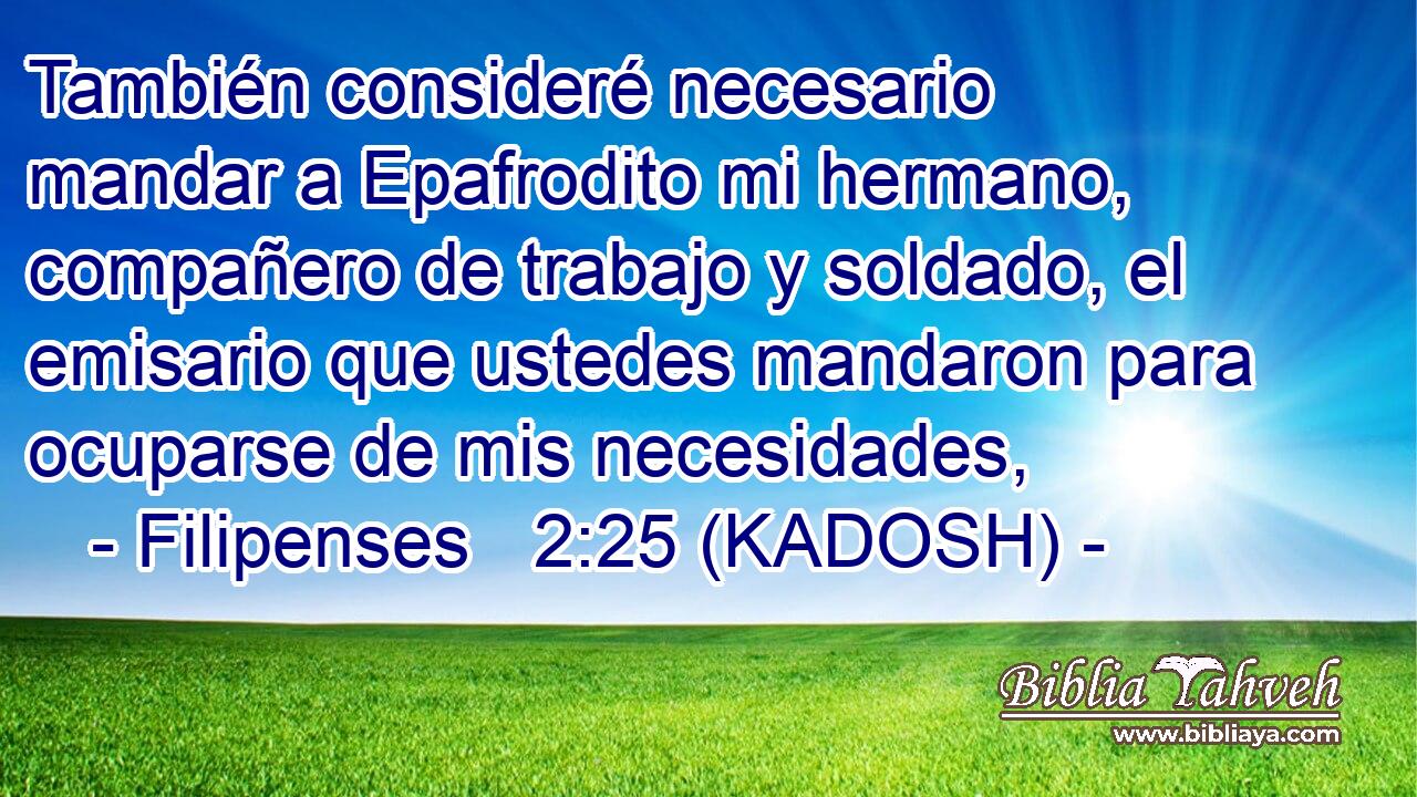  También consideré necesario mandar a Epafrodito mi hermano, compañero de trabajo y soldado, el emisario que ustedes mandaron para ocuparse de mis necesidades, 