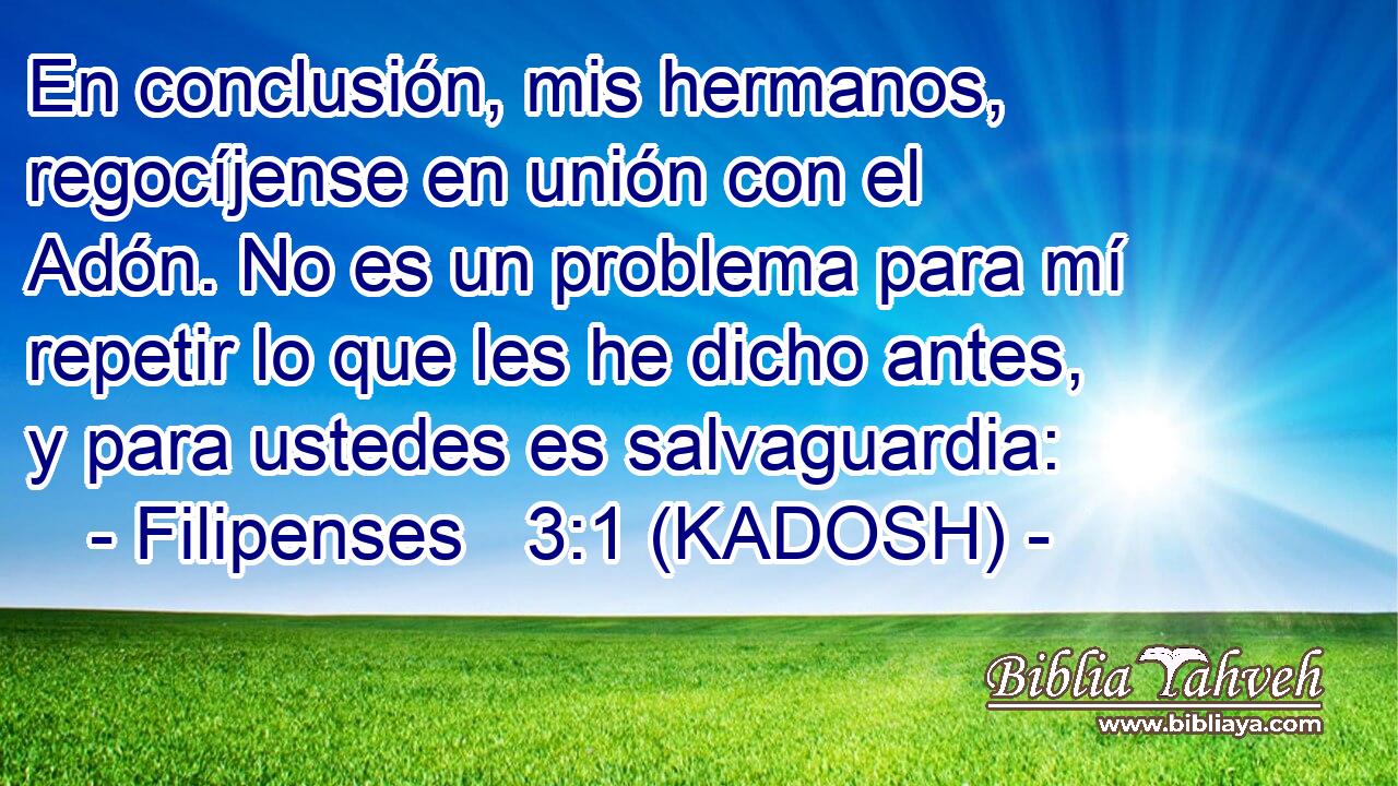  En conclusión, mis hermanos, regocíjense en unión con el Adón. No es un problema para mí repetir lo que les he dicho antes, y para ustedes es salvaguardia: 
