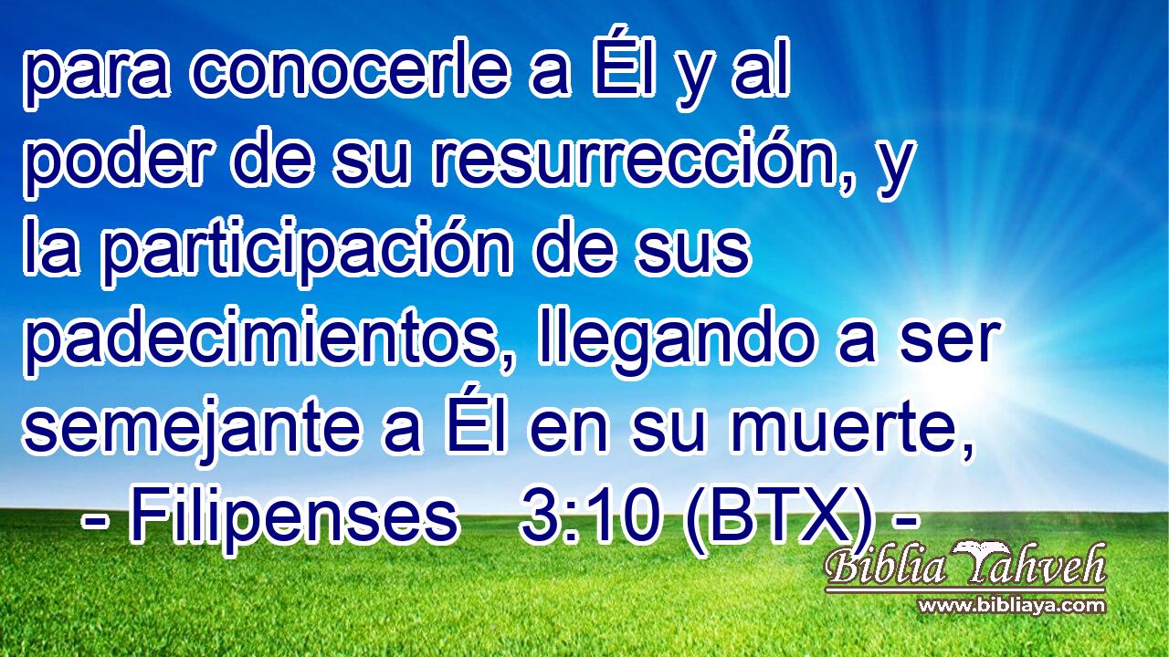 para conocerle a Él y al poder de su resurrección, y la participación de sus padecimientos, llegando a ser semejante a Él en su muerte,