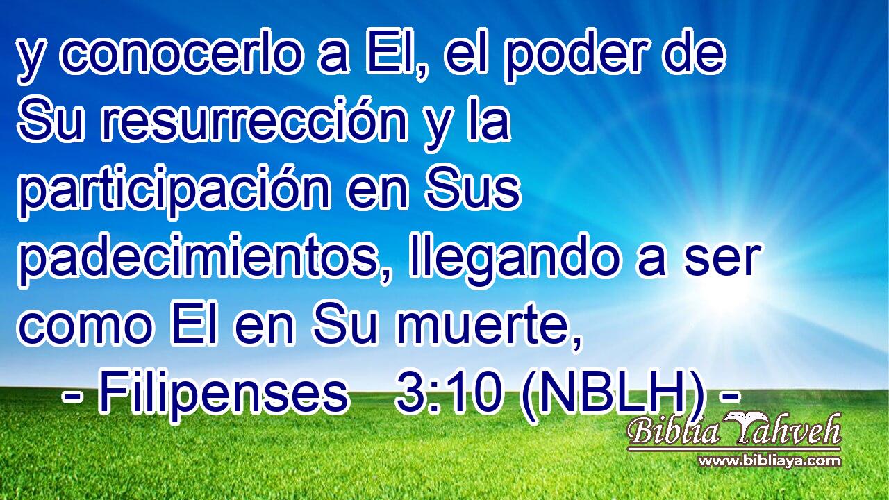  y conocerlo a El, el poder de Su resurrección y la participación en Sus padecimientos, llegando a ser como El en Su muerte, 