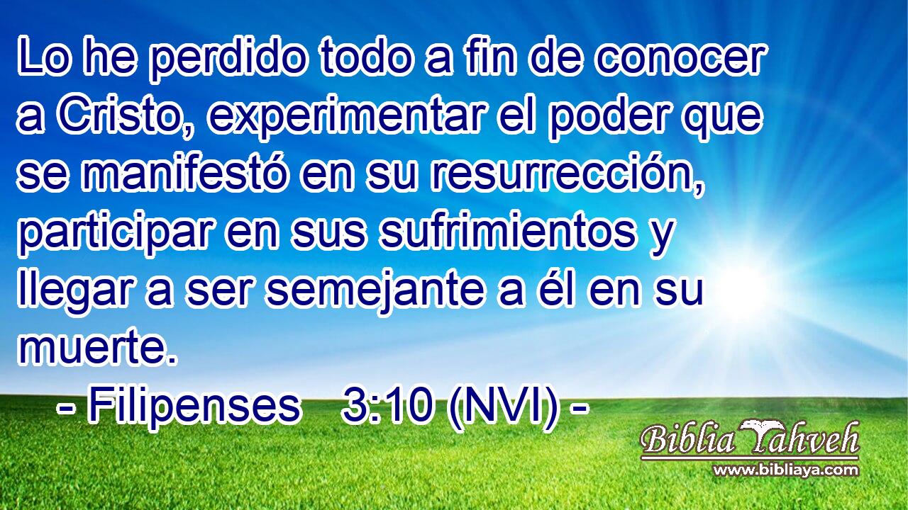  Lo he perdido todo a fin de conocer a Cristo, experimentar el poder que se manifestó en su resurrección, participar en sus sufrimientos y llegar a ser semejante a él en su muerte. 