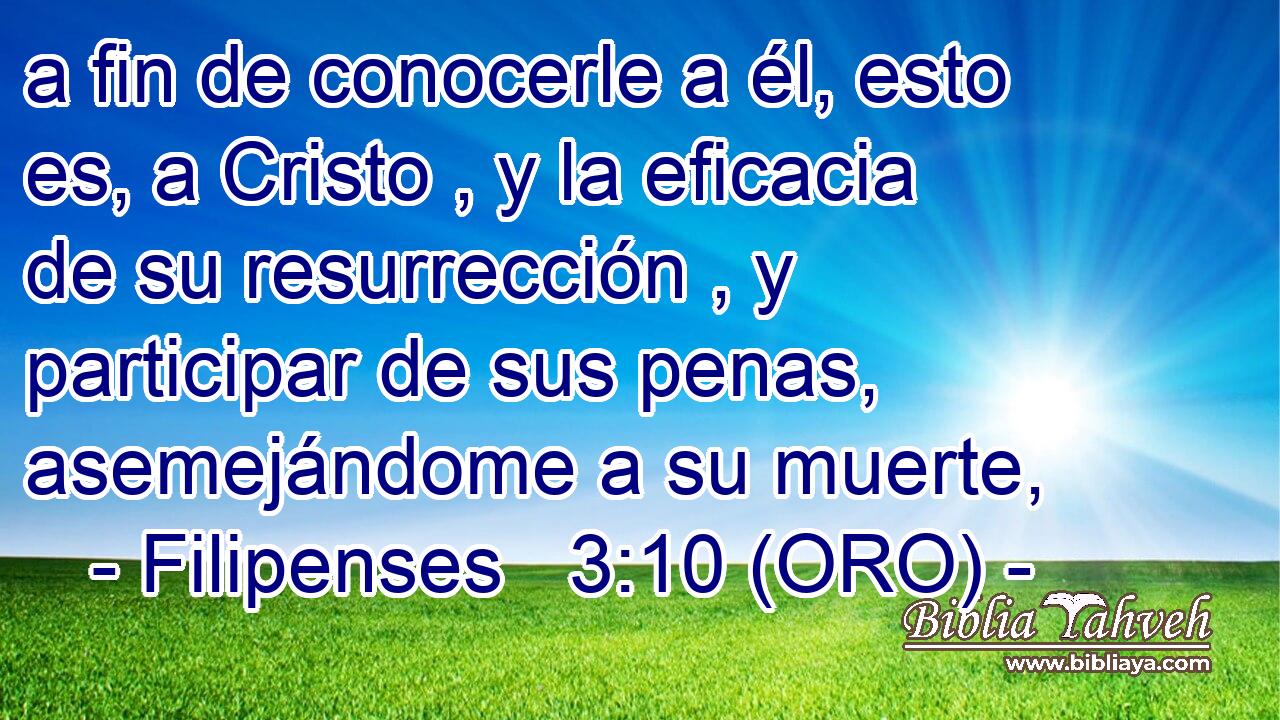  a fin de conocerle a él, esto es, a Cristo , y la eficacia de su resurrección , y participar de sus penas, asemejándome a su muerte, 