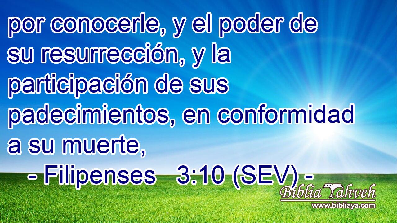 por conocerle, y el poder de su resurrección, y la participación de sus padecimientos, en conformidad a su muerte,