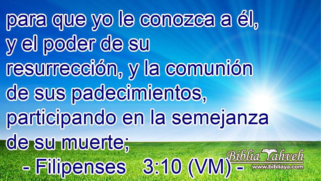  para que yo le conozca a él, y el poder de su resurrección, y la comunión de sus padecimientos, participando en la semejanza de su muerte; 