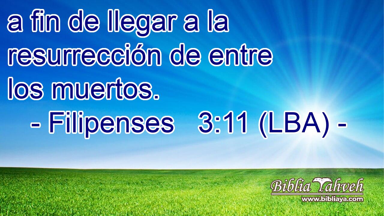 a fin de llegar a la resurrección de entre los muertos.