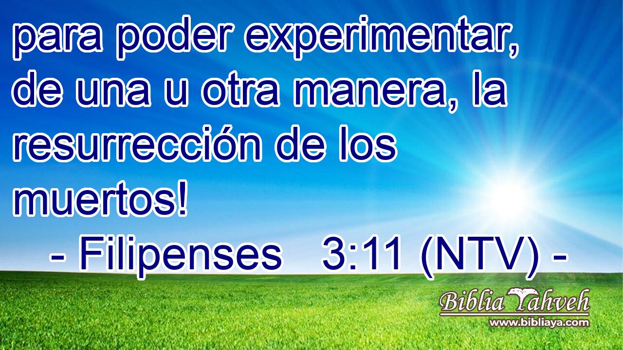 para poder experimentar, de una u otra manera, la resurrección de los muertos!