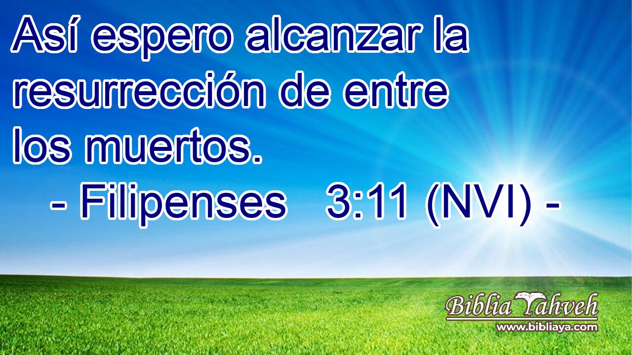  Así espero alcanzar la resurrección de entre los muertos. 