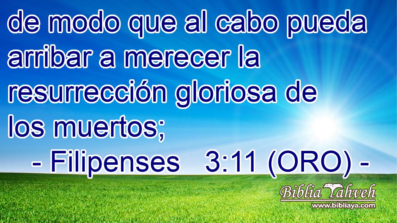  de modo que al cabo pueda arribar a merecer la resurrección gloriosa de los muertos; 