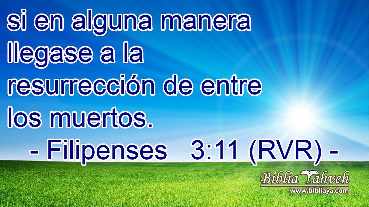 si en alguna manera llegase a la resurrección de entre los muertos.