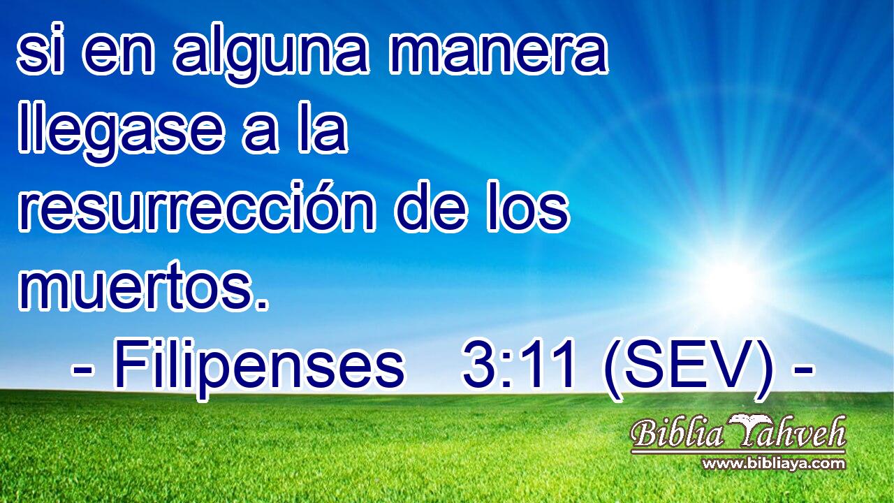 si en alguna manera llegase a la resurrección de los muertos.