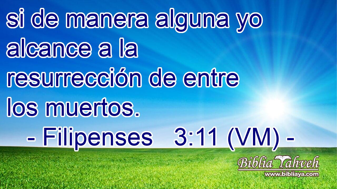 si de manera alguna yo alcance a la resurrección de entre los muertos. 