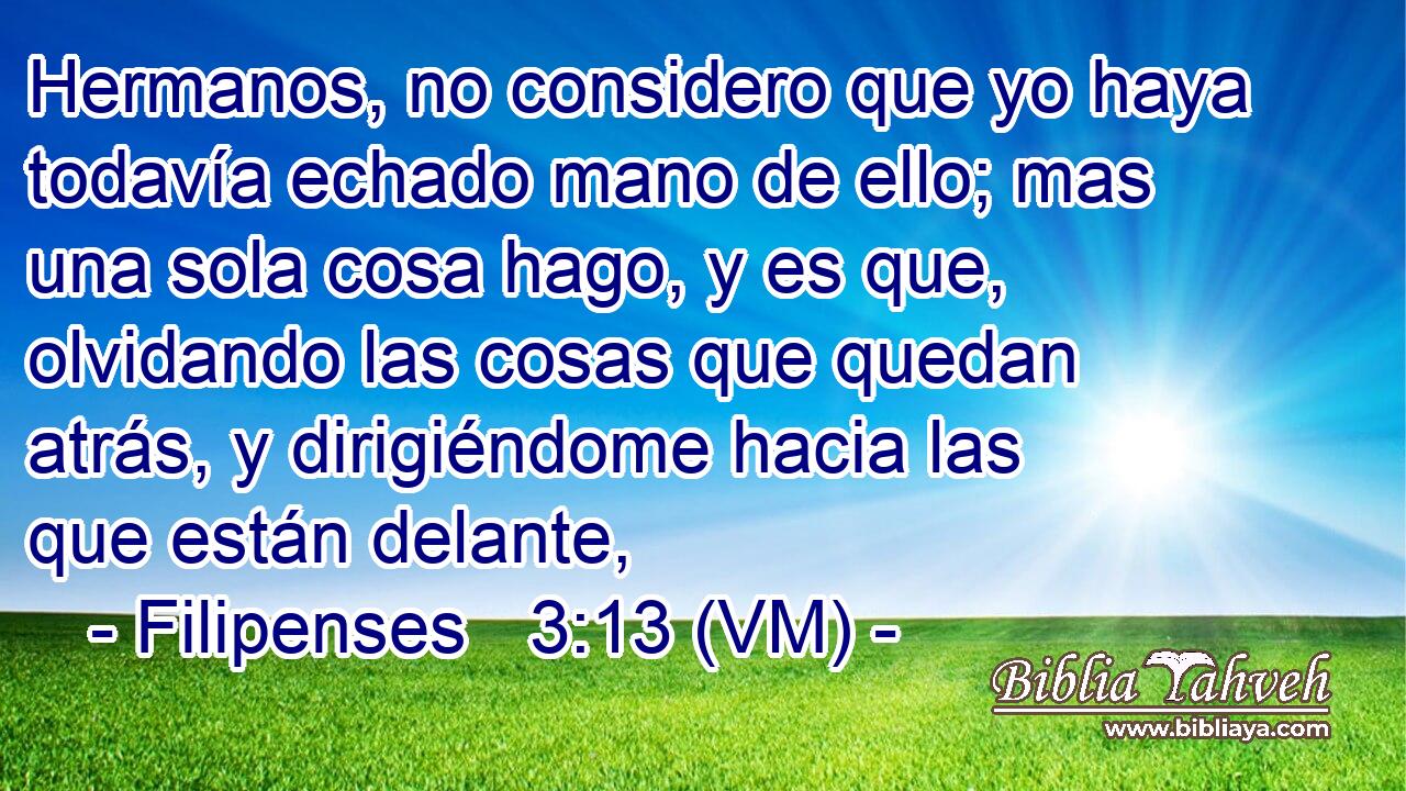  Hermanos, no considero que yo haya todavía echado mano de ello; mas una sola cosa hago, y es que, olvidando las cosas que quedan atrás, y dirigiéndome hacia las que están delante, 