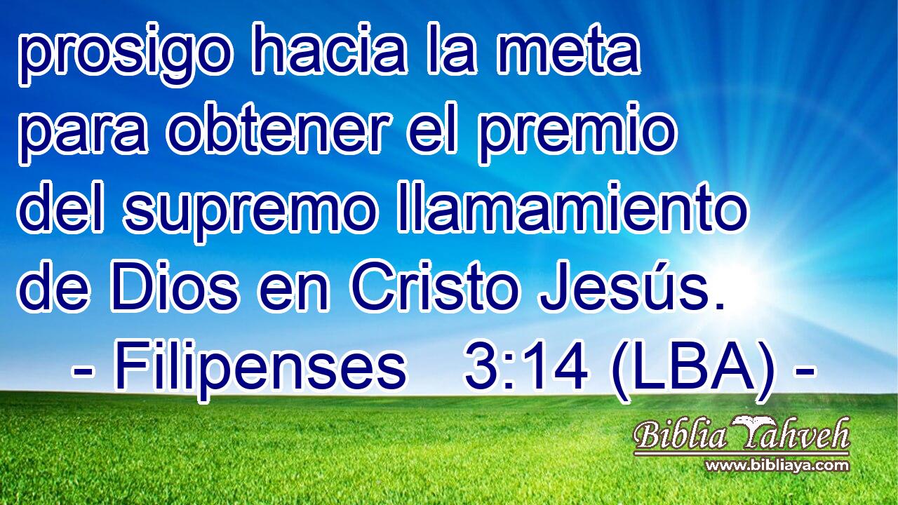 prosigo hacia la meta para obtener el premio del supremo llamamiento de Dios en Cristo Jesús.