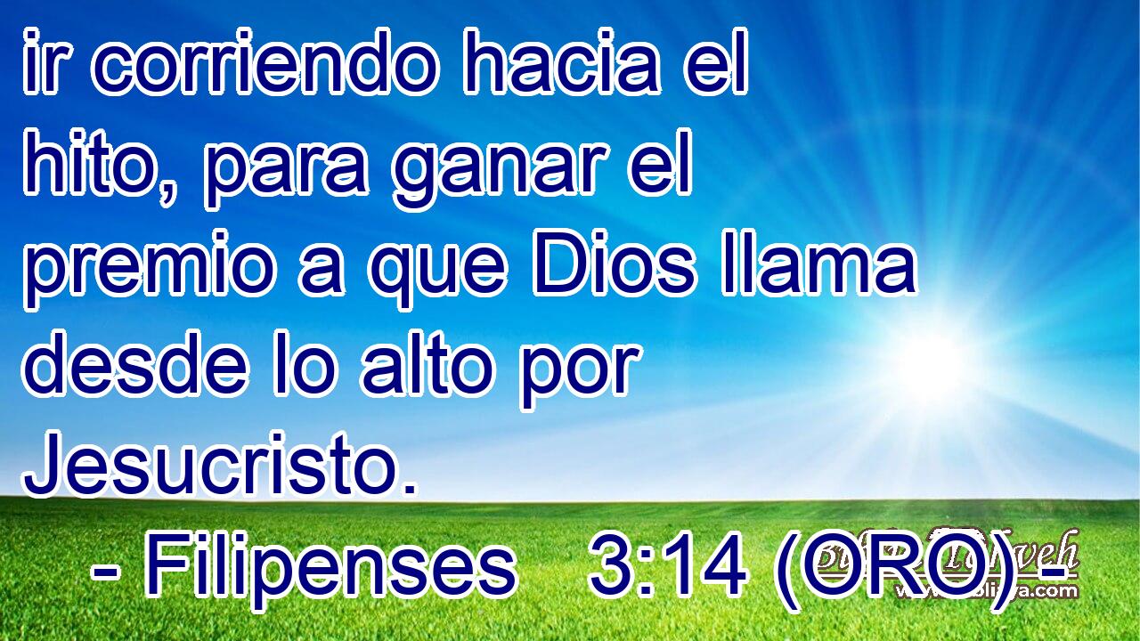  ir corriendo hacia el hito, para ganar el premio a que Dios llama desde lo alto por Jesucristo. 