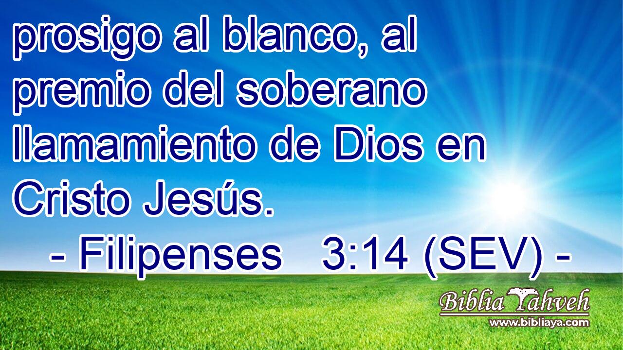 Filipenses 3:14 - Biblia