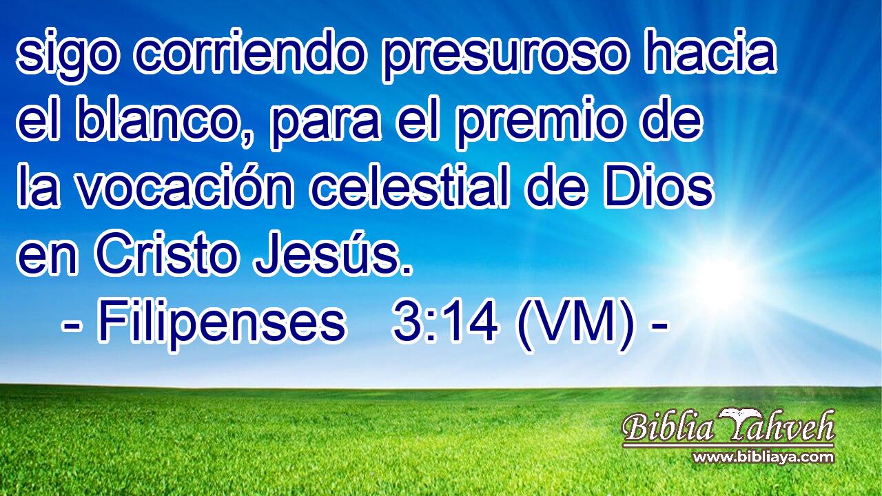  sigo corriendo presuroso hacia el blanco, para el premio de la vocación celestial de Dios en Cristo Jesús. 