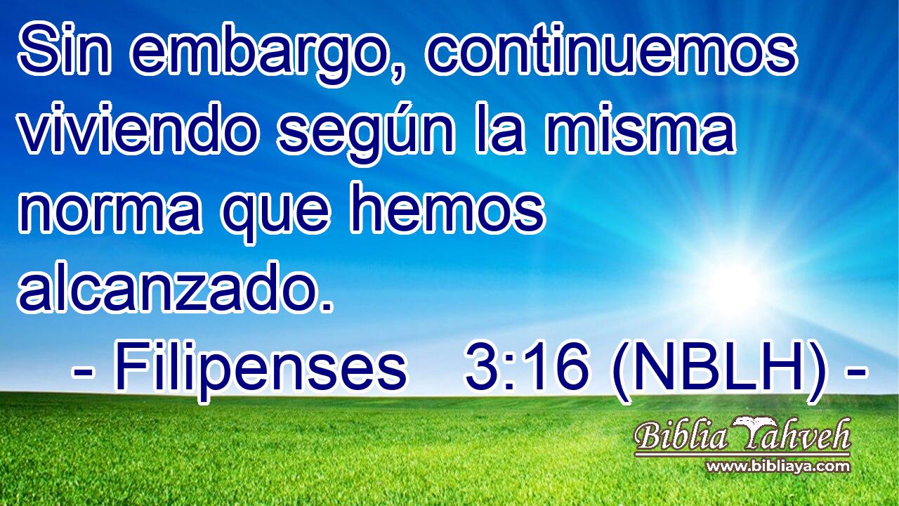  Sin embargo, continuemos viviendo según la misma norma que hemos alcanzado. 