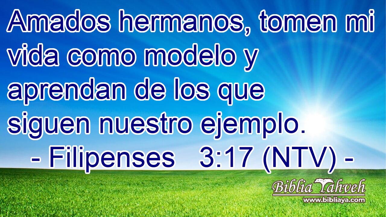Amados hermanos, tomen mi vida como modelo y aprendan de los que siguen nuestro ejemplo.