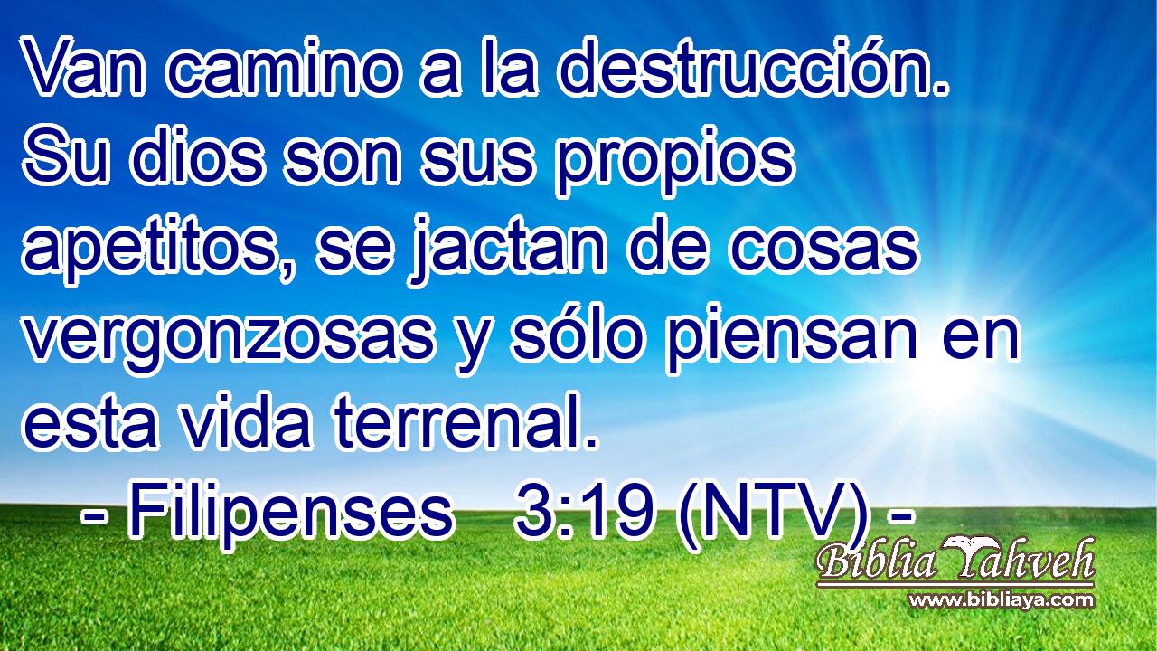 Van camino a la destrucción. Su dios son sus propios apetitos, se jactan de cosas vergonzosas y sólo piensan en esta vida terrenal.