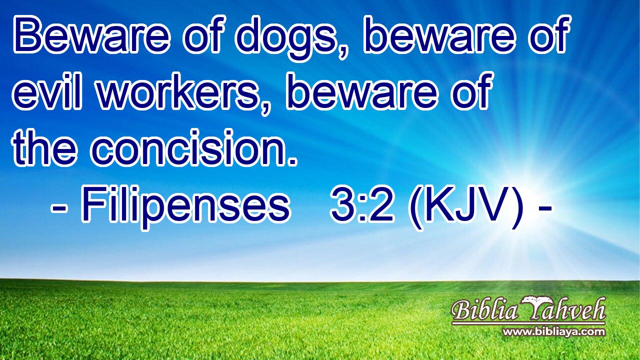 Beware of dogs, beware of evil workers, beware of the concision.
