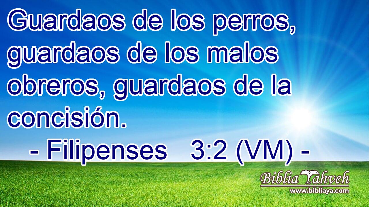  Guardaos de los perros, guardaos de los malos obreros, guardaos de la concisión. 