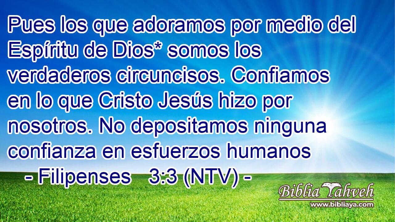 Pues los que adoramos por medio del Espíritu de Dios* somos los verdaderos circuncisos. Confiamos en lo que Cristo Jesús hizo por nosotros. No depositamos ninguna confianza en esfuerzos humanos