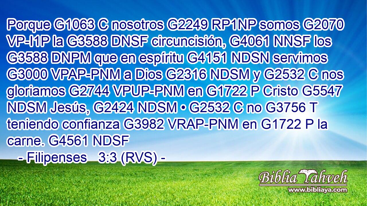 Porque G1063 C nosotros G2249 RP1NP somos G2070 VP-I1P la G3588 DNSF circuncisión, G4061 NNSF los G3588 DNPM que en espíritu G4151 NDSN servimos G3000 VPAP-PNM a Dios G2316 NDSM y G2532 C nos gloriamos G2744 VPUP-PNM en G1722 P Cristo G5547 NDSM Jesús, G2424 NDSM • G2532 C no G3756 T teniendo confianza G3982 VRAP-PNM en G1722 P la carne. G4561 NDSF 
