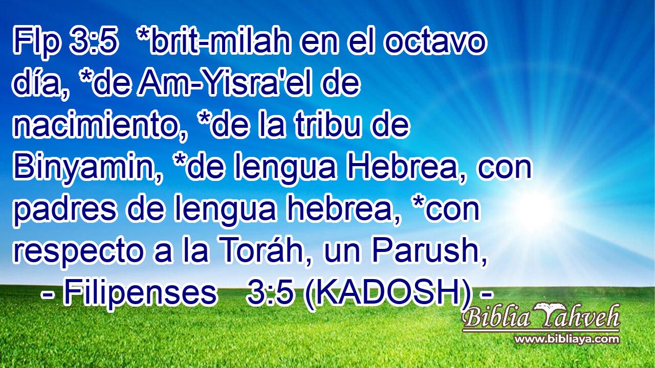 Flp 3:5  *brit-milah en el octavo día, *de Am-Yisra'el de nacimiento, *de la tribu de Binyamin, *de lengua Hebrea, con padres de lengua hebrea, *con respecto a la Toráh, un Parush, 