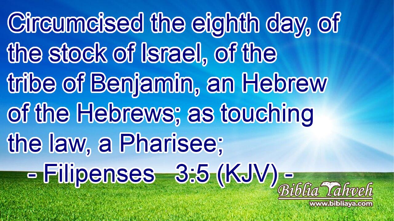 Circumcised the eighth day, of the stock of Israel, of the tribe of Benjamin, an Hebrew of the Hebrews; as touching the law, a Pharisee;