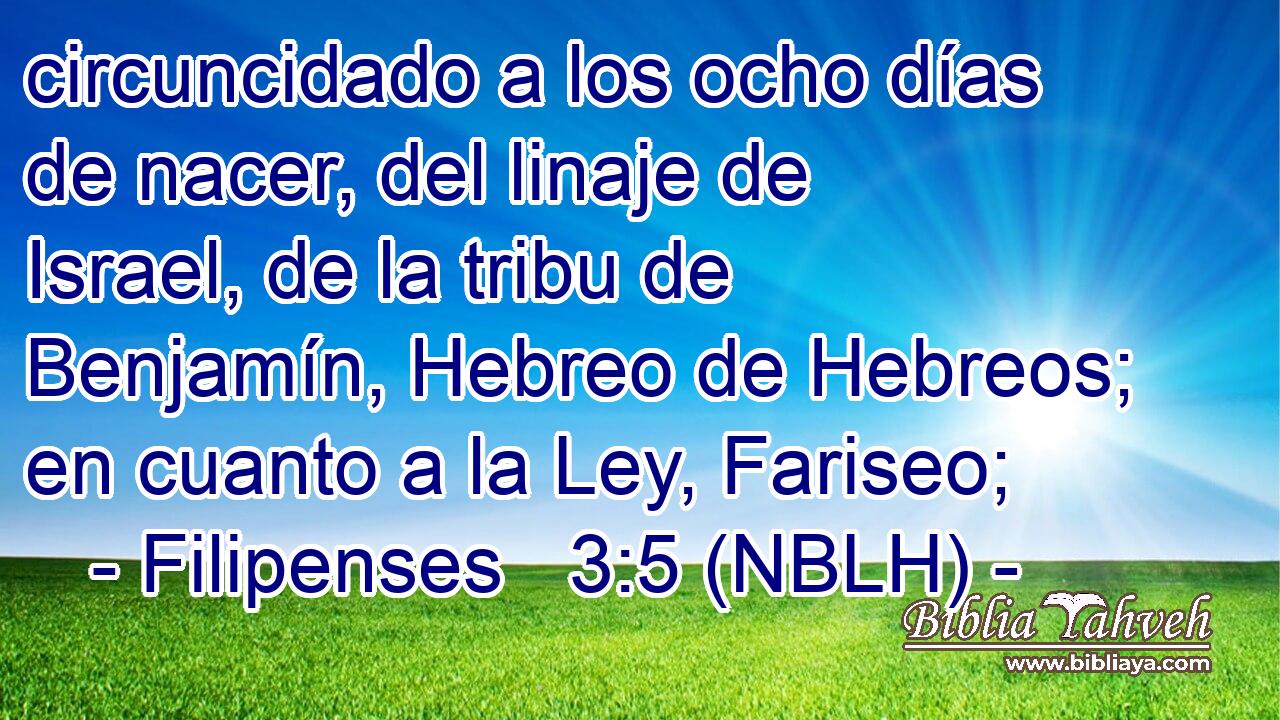  circuncidado a los ocho días de nacer, del linaje de Israel, de la tribu de Benjamín, Hebreo de Hebreos; en cuanto a la Ley, Fariseo; 