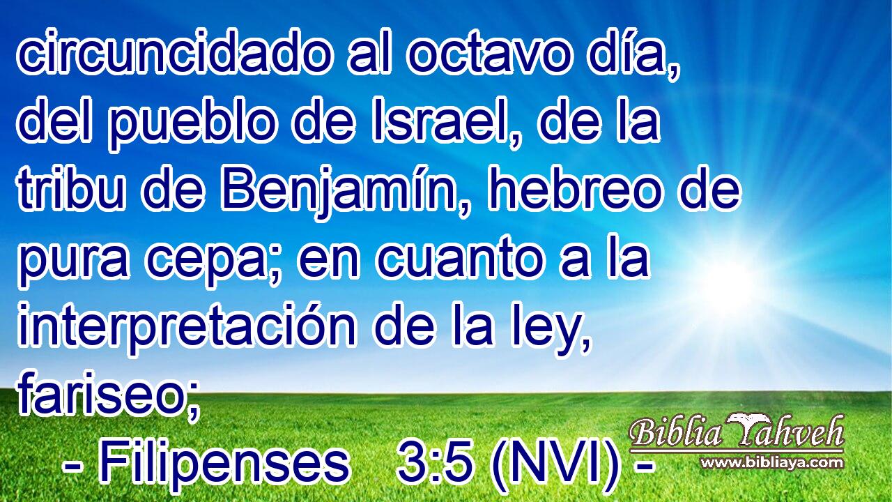  circuncidado al octavo día, del pueblo de Israel, de la tribu de Benjamín, hebreo de pura cepa; en cuanto a la interpretación de la ley, fariseo; 