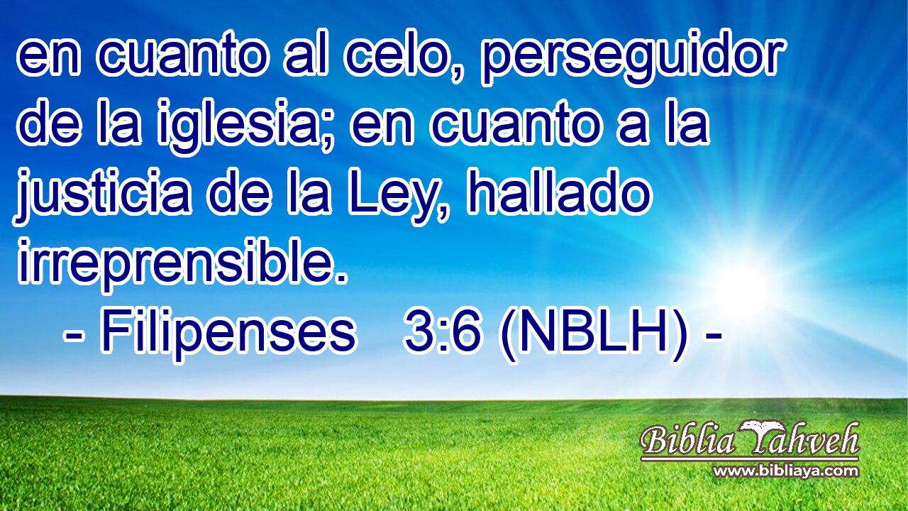  en cuanto al celo, perseguidor de la iglesia; en cuanto a la justicia de la Ley, hallado irreprensible. 