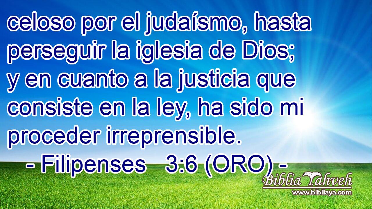  celoso por el judaísmo, hasta perseguir la iglesia de Dios; y en cuanto a la justicia que consiste en la ley, ha sido mi proceder irreprensible. 