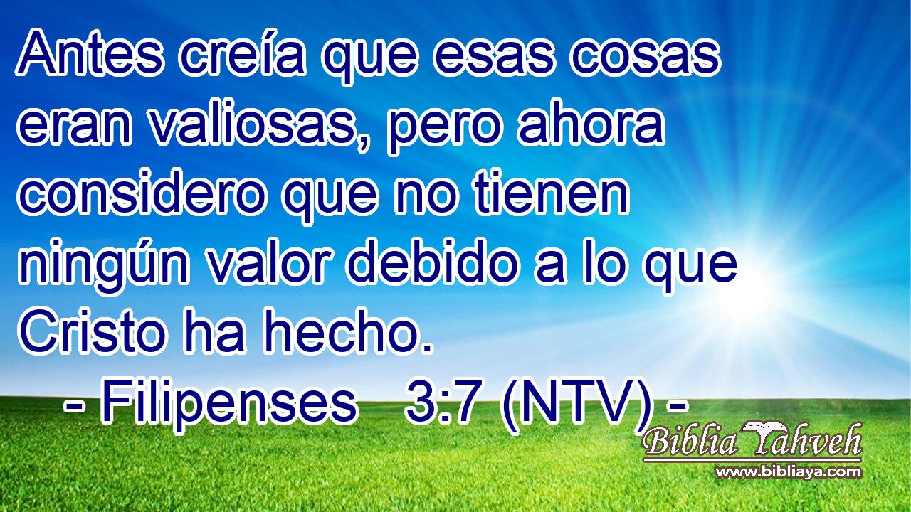 Antes creía que esas cosas eran valiosas, pero ahora considero que no tienen ningún valor debido a lo que Cristo ha hecho.