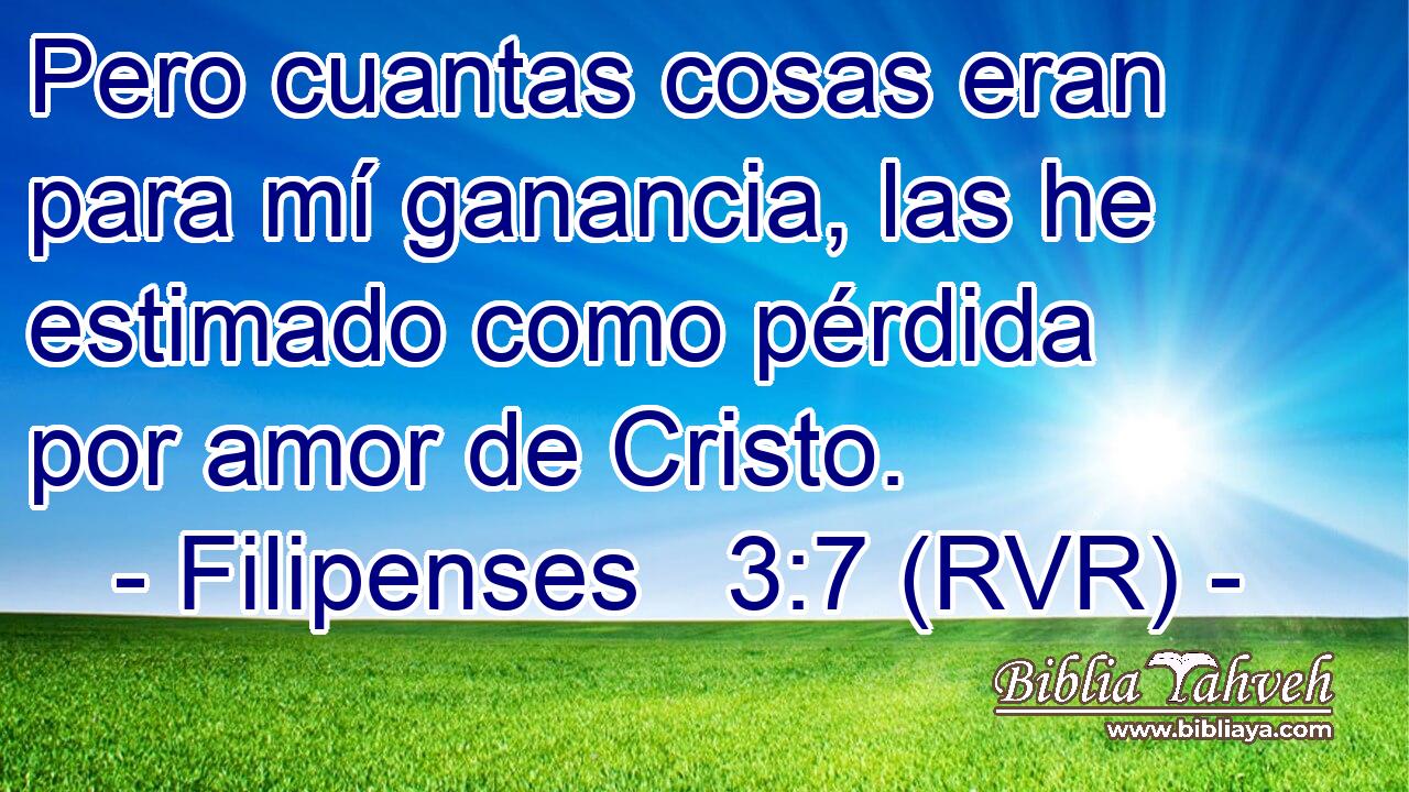 Pero cuantas cosas eran para mí ganancia, las he estimado como pérdida por amor de Cristo.