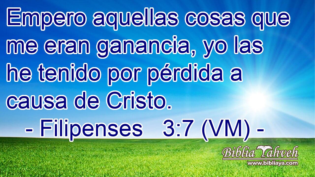  Empero aquellas cosas que me eran ganancia, yo las he tenido por pérdida a causa de Cristo. 