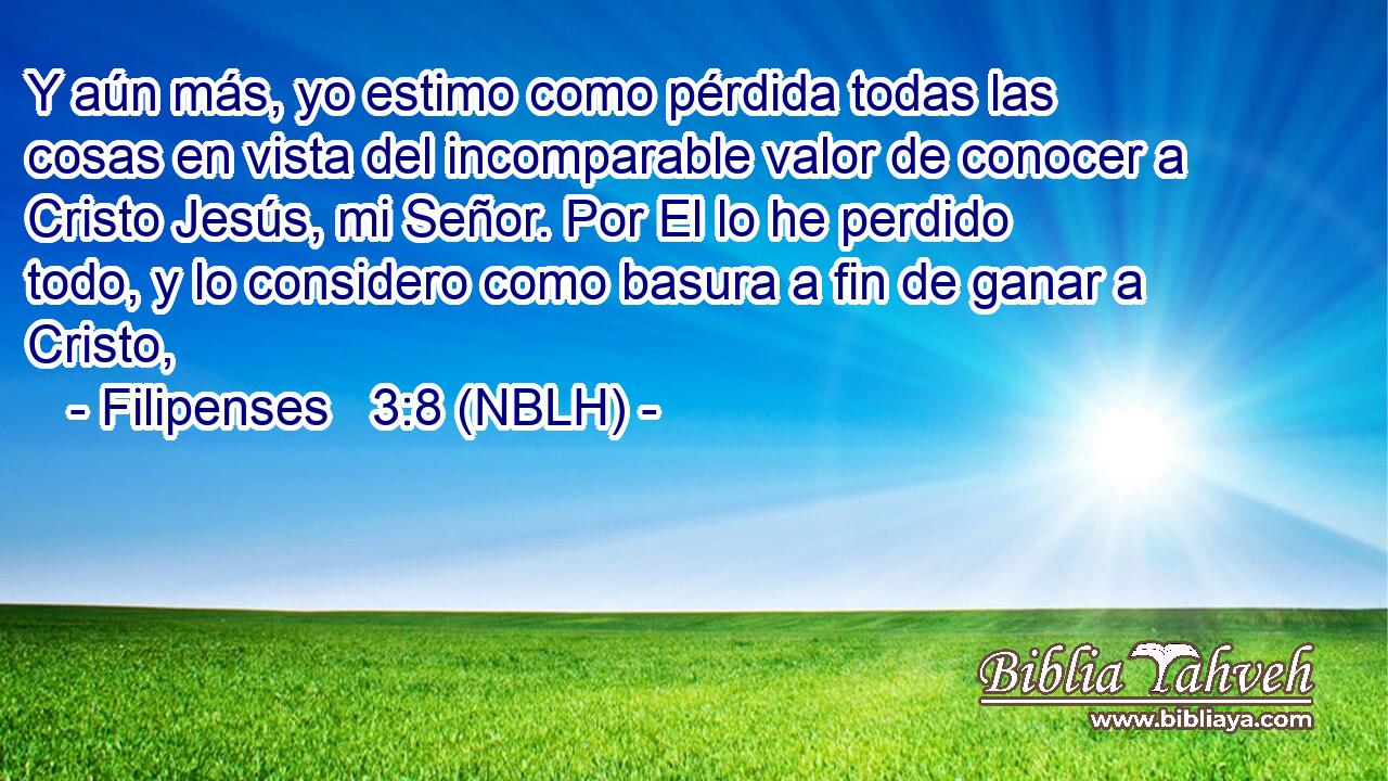  Y aún más, yo estimo como pérdida todas las cosas en vista del incomparable valor de conocer a Cristo Jesús, mi Señor. Por El lo he perdido todo, y lo considero como basura a fin de ganar a Cristo, 