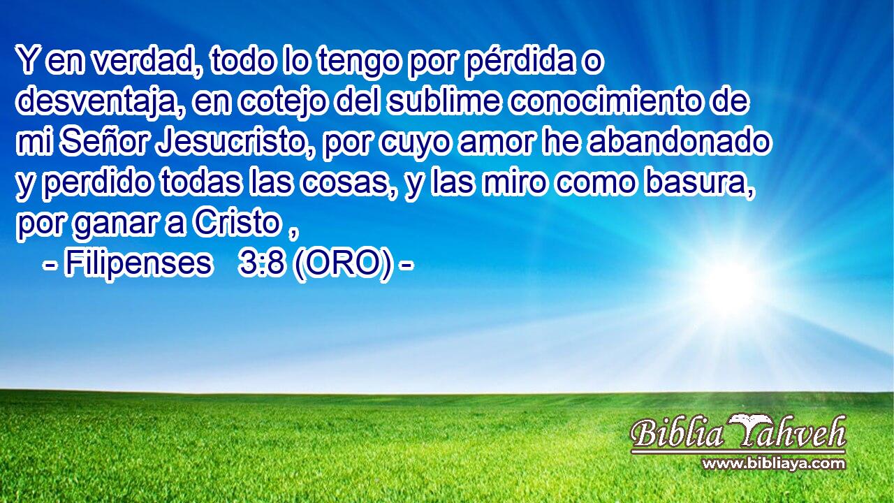  Y en verdad, todo lo tengo por pérdida o desventaja, en cotejo del sublime conocimiento de mi Señor Jesucristo, por cuyo amor he abandonado y perdido todas las cosas, y las miro como basura, por ganar a Cristo , 
