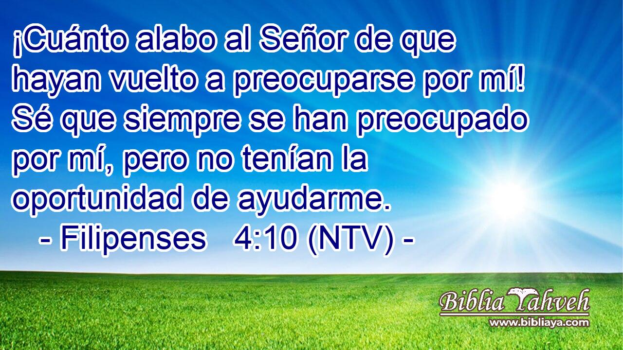 ¡Cuánto alabo al Señor de que hayan vuelto a preocuparse por mí! Sé que siempre se han preocupado por mí, pero no tenían la oportunidad de ayudarme.