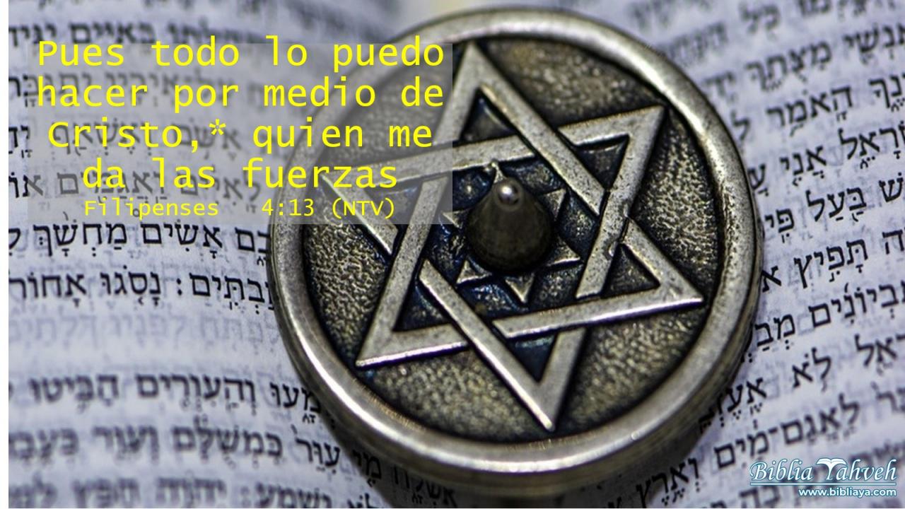 Pues todo lo puedo hacer por medio de Cristo,* quien me da las fuerzas.