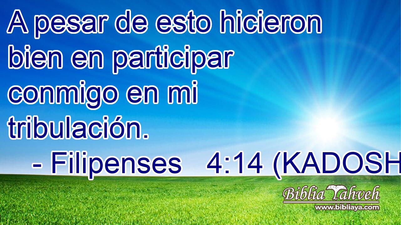  A pesar de esto hicieron bien en participar conmigo en mi tribulación. 