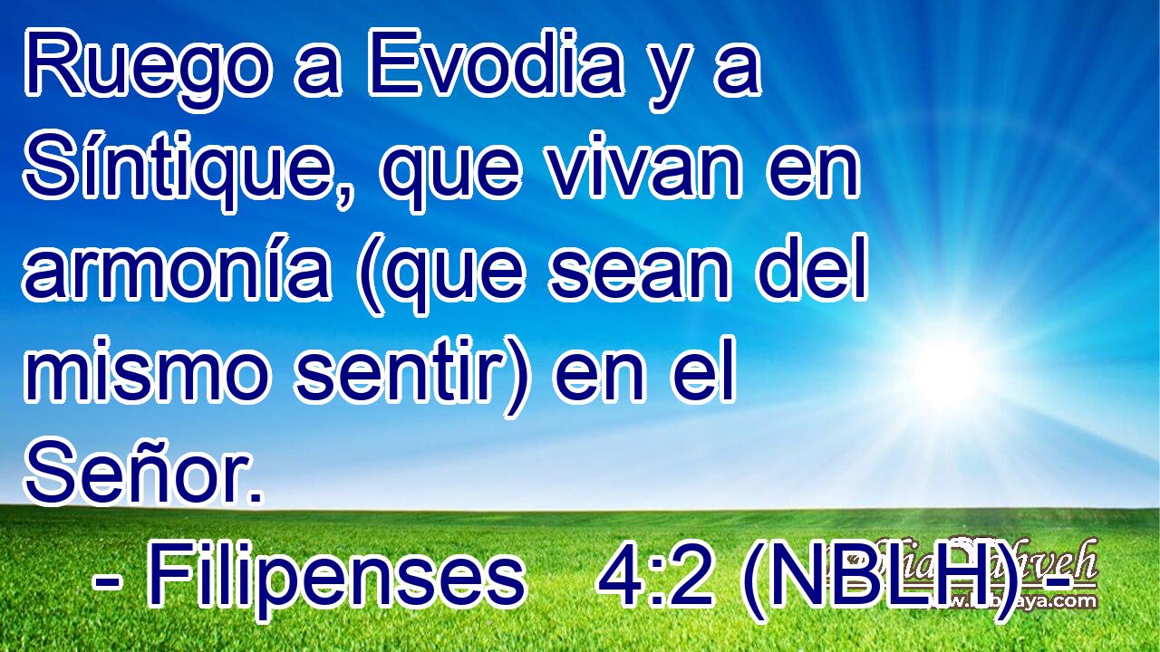  Ruego a Evodia y a Síntique, que vivan en armonía (que sean del mismo sentir) en el Señor. 