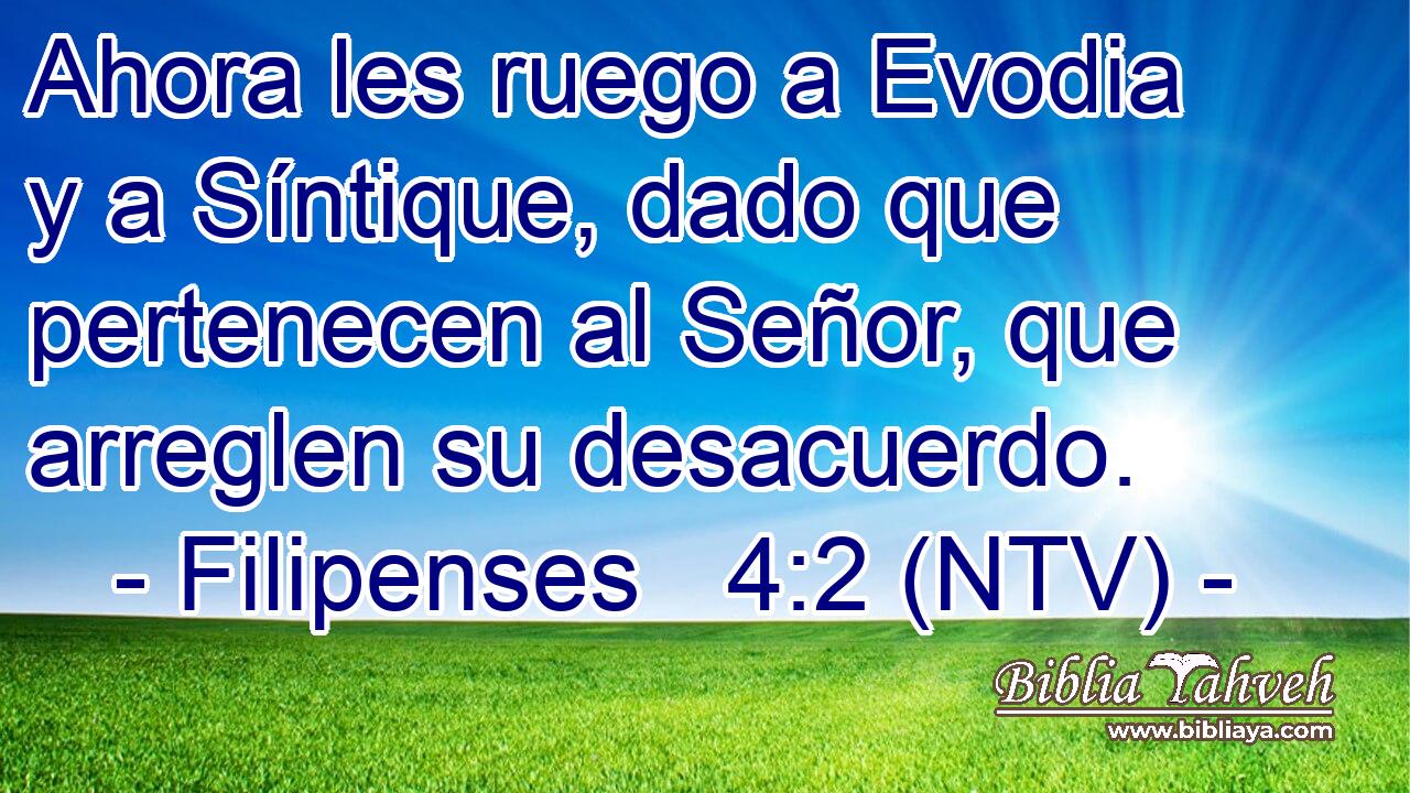 Ahora les ruego a Evodia y a Síntique, dado que pertenecen al Señor, que arreglen su desacuerdo.