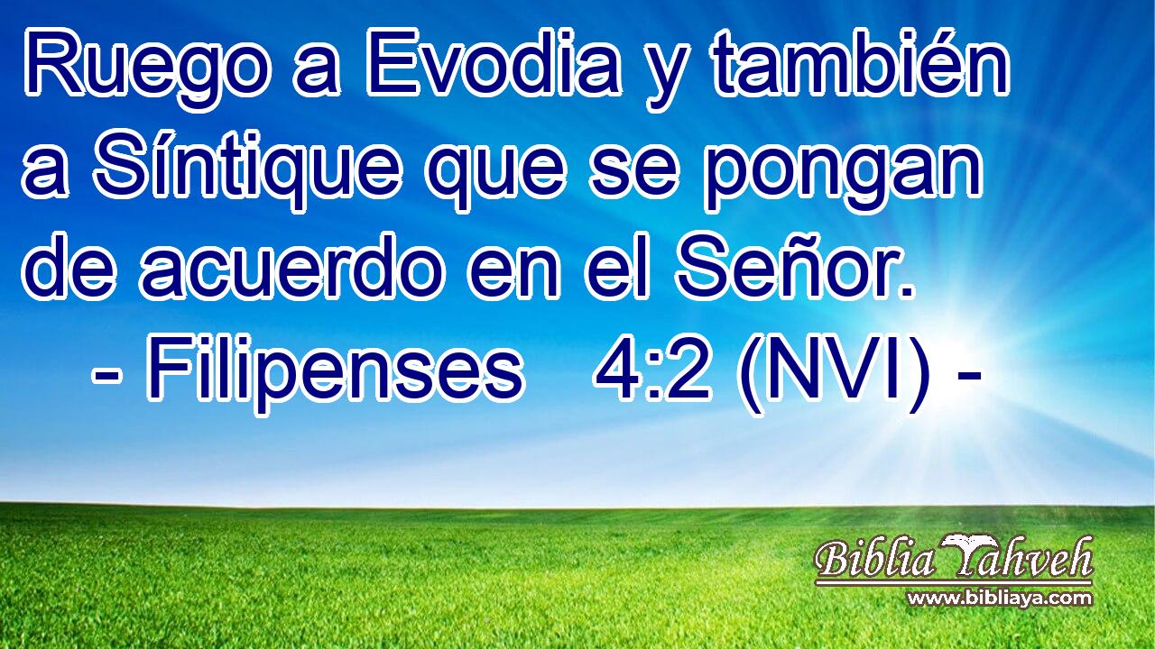  Ruego a Evodia y también a Síntique que se pongan de acuerdo en el Señor. 