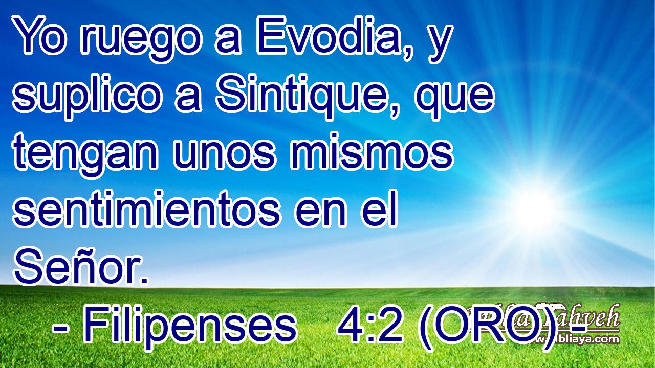  Yo ruego a Evodia, y suplico a Sintique, que tengan unos mismos sentimientos en el Señor. 