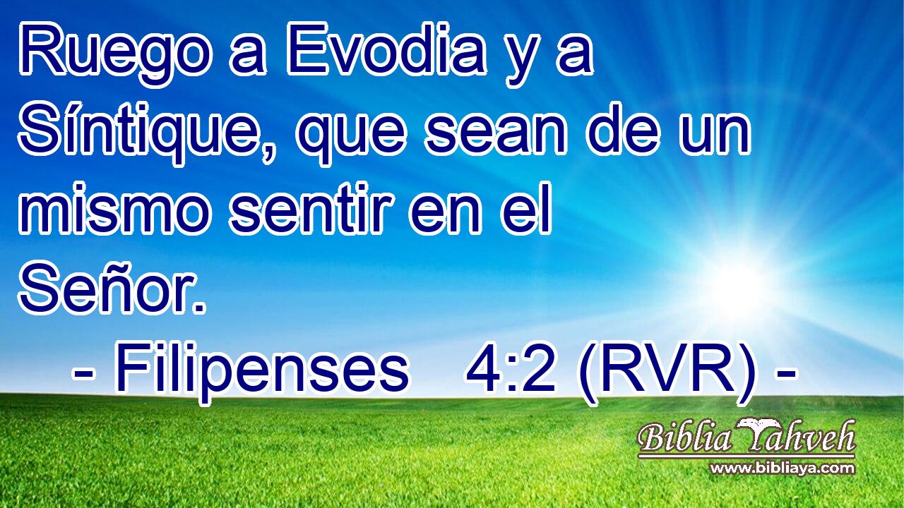 Ruego a Evodia y a Síntique, que sean de un mismo sentir en el Señor.