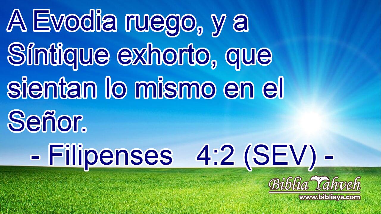 A Evodia ruego, y a Síntique exhorto, que sientan lo mismo en el Señor.