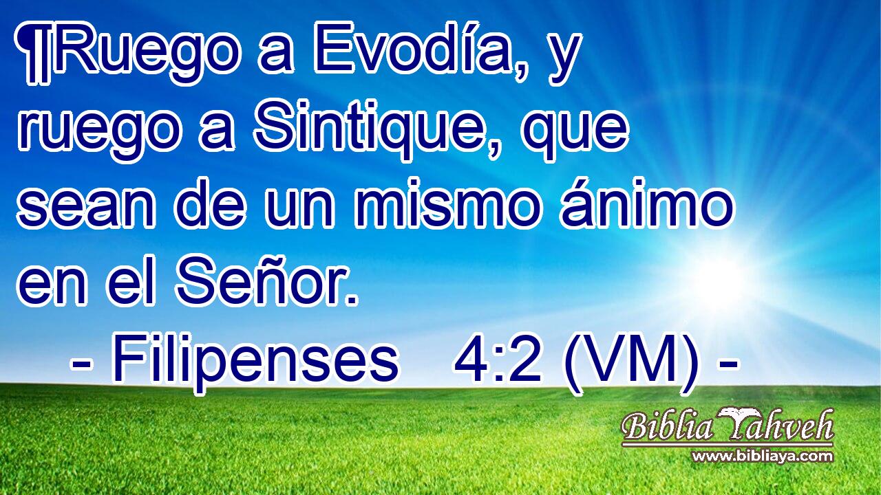  ¶Ruego a Evodía, y ruego a Sintique, que sean de un mismo ánimo en el Señor. 