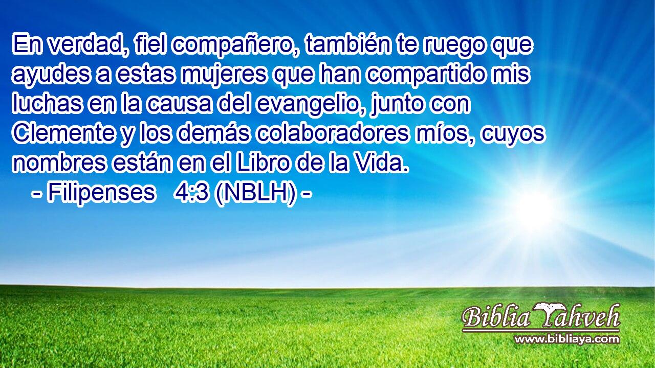  En verdad, fiel compañero, también te ruego que ayudes a estas mujeres que han compartido mis luchas en la causa del evangelio, junto con Clemente y los demás colaboradores míos, cuyos nombres están en el Libro de la Vida. 